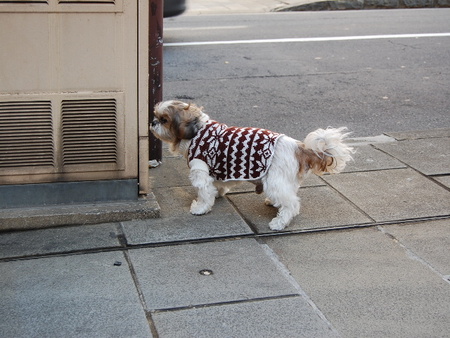 f:id:alittleact:20071103121858j:image