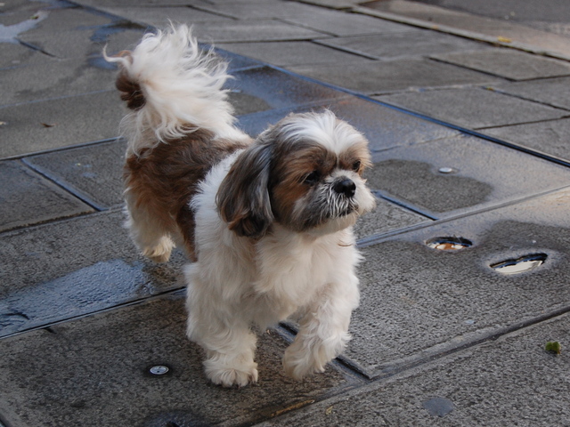 f:id:alittleact:20071108120017j:image