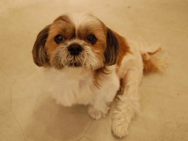 f:id:alittleact:20071108120252j:image