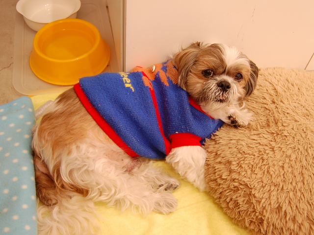 f:id:alittleact:20071112165322j:image