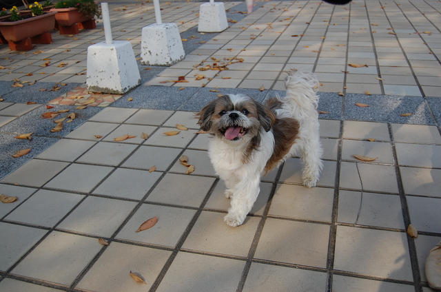 f:id:alittleact:20071115172903j:image