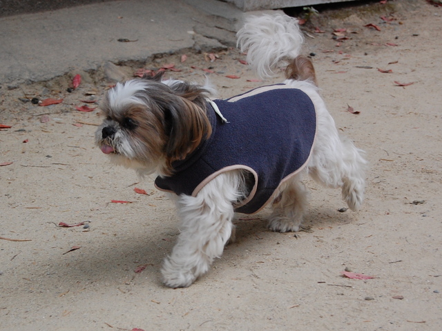 f:id:alittleact:20071128160403j:image