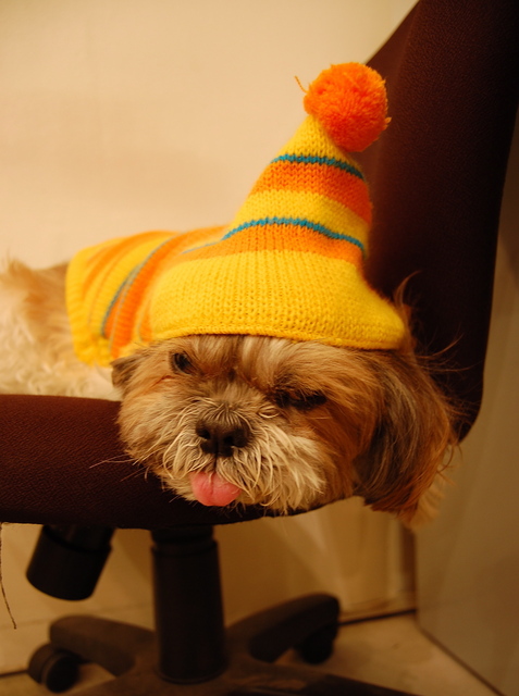 f:id:alittleact:20071203155054j:image