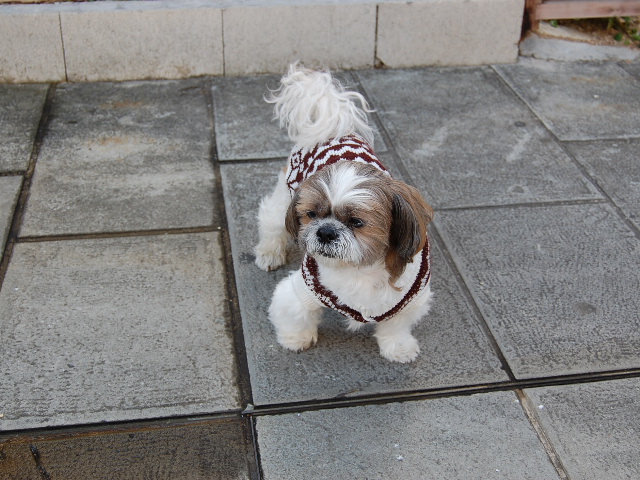 f:id:alittleact:20071226205127j:image