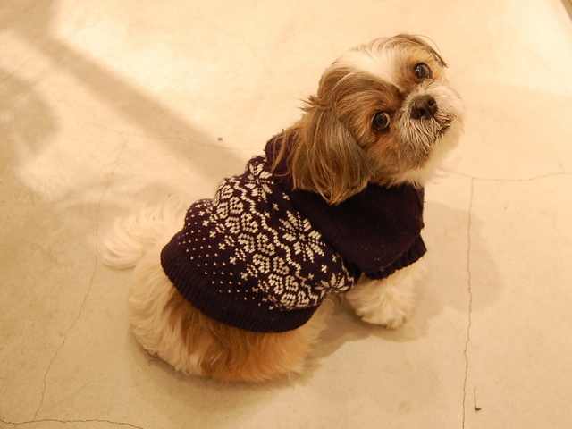 f:id:alittleact:20080106170102j:image