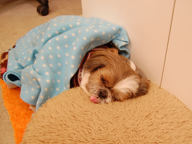 f:id:alittleact:20080113182758j:image