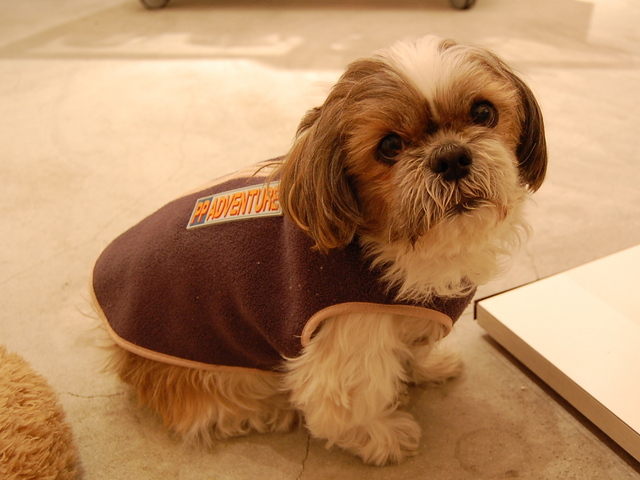 f:id:alittleact:20080125172517j:image