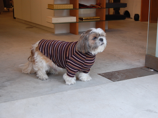 f:id:alittleact:20080202123439j:image