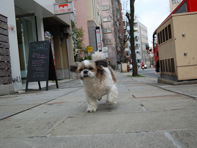 f:id:alittleact:20080324174417j:image