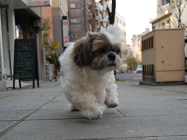 f:id:alittleact:20080418202328j:image