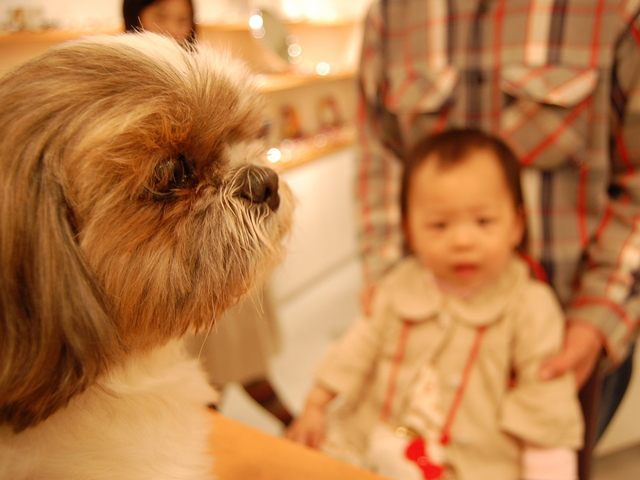 f:id:alittleact:20080501203255j:image