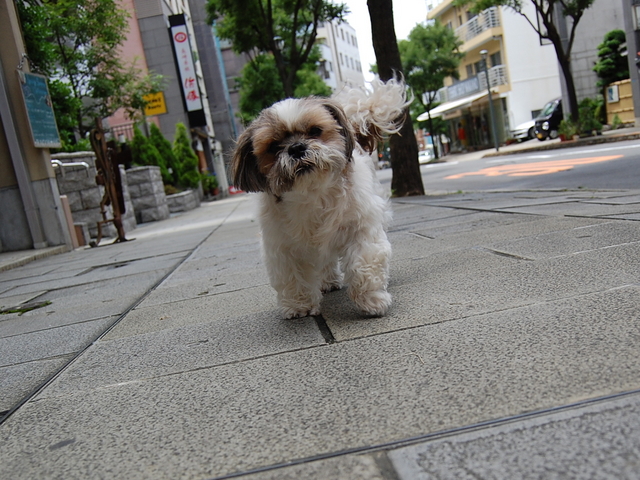 f:id:alittleact:20080707175739j:image