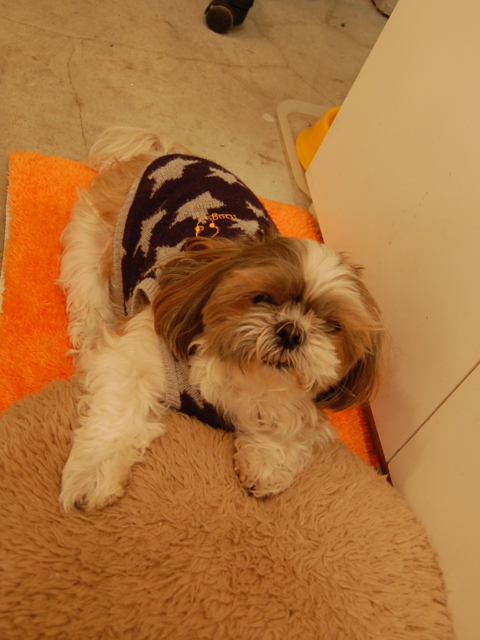 f:id:alittleact:20090110195450j:image