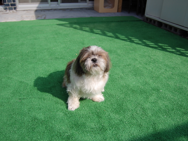 f:id:alittleact:20090121164554j:image