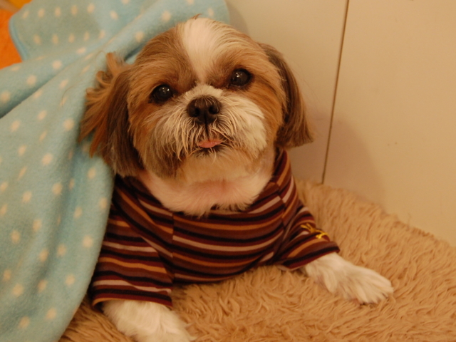 f:id:alittleact:20090126175944j:image