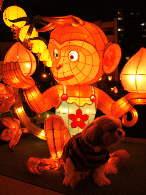 f:id:alittleact:20090206164338j:image