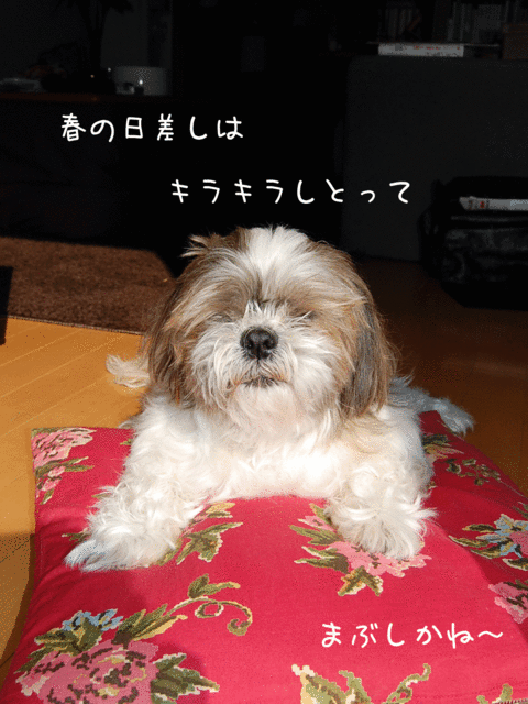 f:id:alittleact:20090301191254g:image