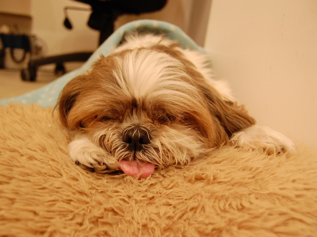 f:id:alittleact:20090320190427j:image
