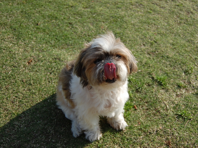 f:id:alittleact:20090330201547j:image