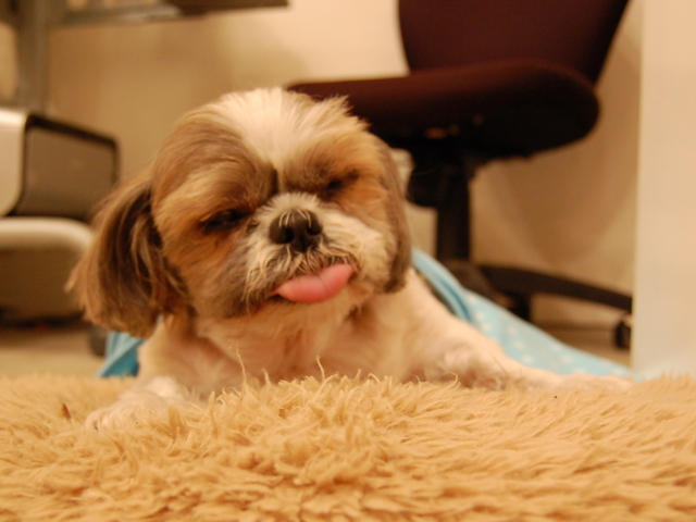f:id:alittleact:20090417184605j:image