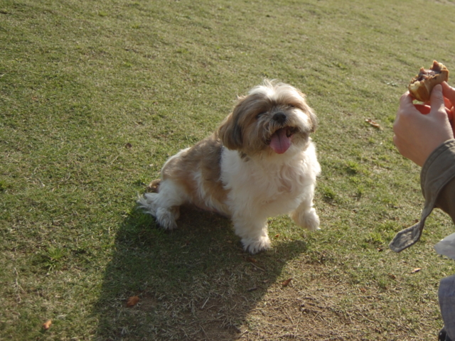 f:id:alittleact:20090503195410j:image