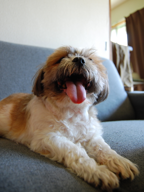 f:id:alittleact:20090513165358j:image