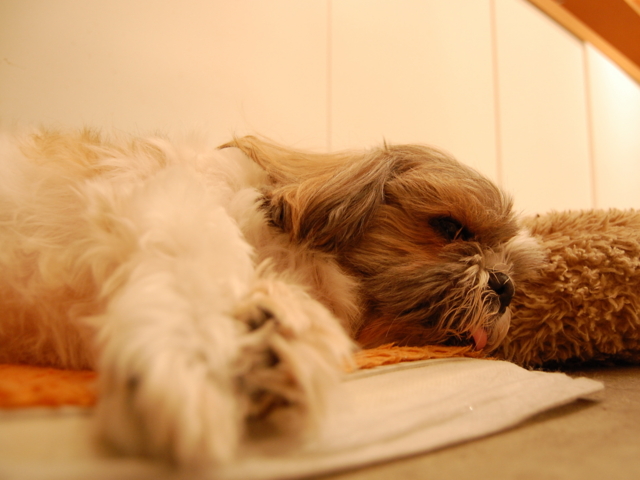 f:id:alittleact:20090528192910j:image