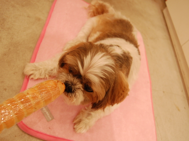 f:id:alittleact:20090702185806j:image