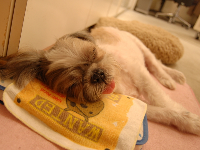 f:id:alittleact:20090807175323j:image