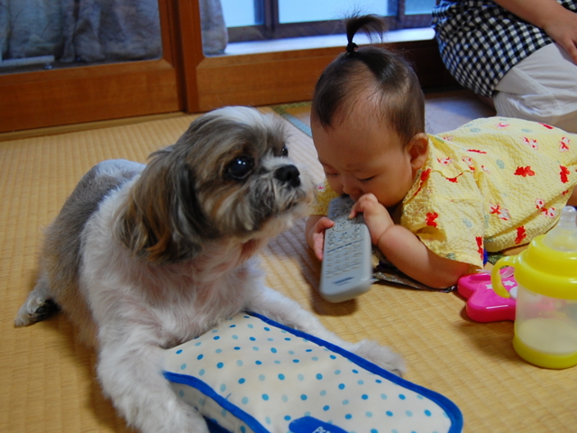 f:id:alittleact:20090828195804j:image