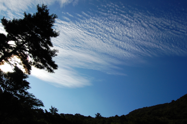 f:id:alittleact:20090917170346j:image