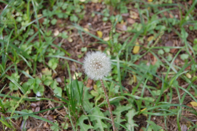 f:id:alittleact:20090917170350j:image