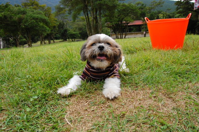 f:id:alittleact:20090923162836j:image