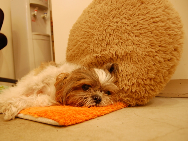 f:id:alittleact:20091004202616j:image