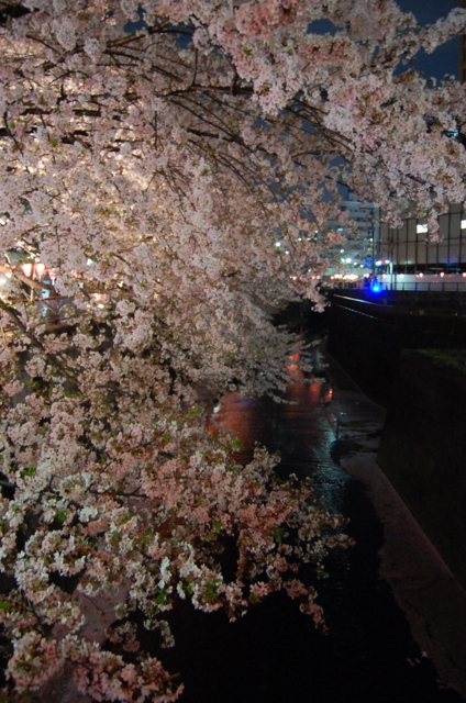 f:id:alittleact:20100317170948j:image f:id:alittleact:20100317170948j:image