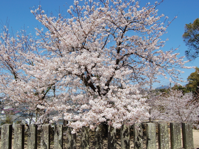 f:id:alittleact:20110406194849j:image