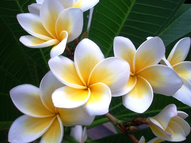 f:id:alittleact:20141221183527j:image f:id:alittleact:20141221183527j:image