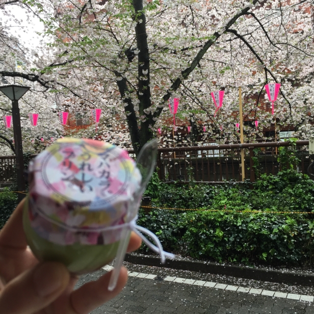 f:id:alittleact:20170417170702j:image