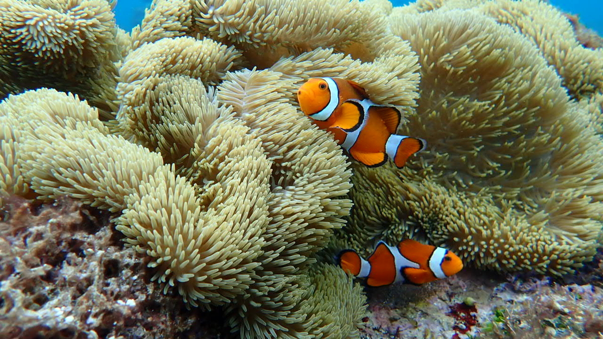 f:id:alittleact:20190627202508j:plain