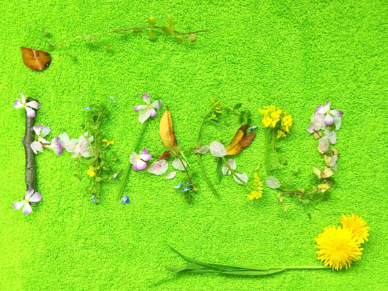 f:id:alkanetwhite:20150421082607j:plain f:id:alkanetwhite:20150421082607j:plain