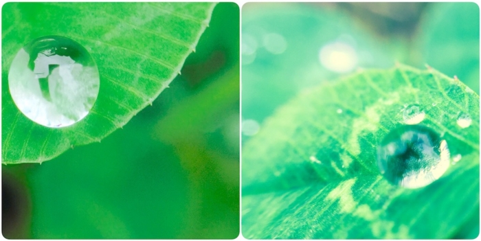 f:id:alkanetwhite:20151106080952j:plain f:id:alkanetwhite:20151106080952j:plain