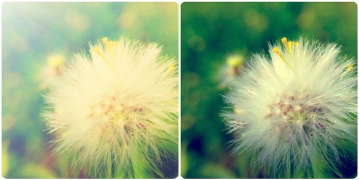 f:id:alkanetwhite:20151106081028j:plain f:id:alkanetwhite:20151106081028j:plain