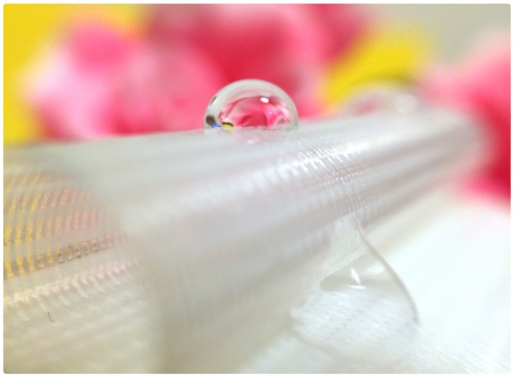 f:id:alkanetwhite:20151210224114j:plain