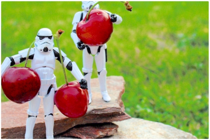 f:id:alkanetwhite:20151214220410j:plain f:id:alkanetwhite:20151214220410j:plain