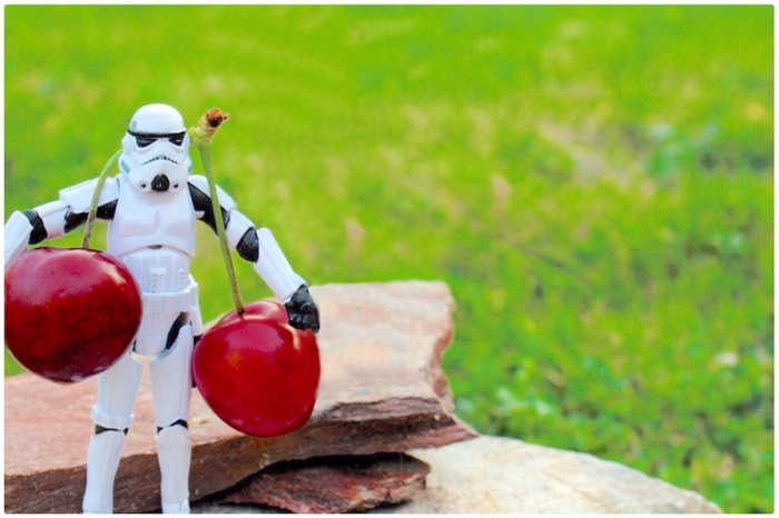 f:id:alkanetwhite:20151214220925j:plain f:id:alkanetwhite:20151214220925j:plain