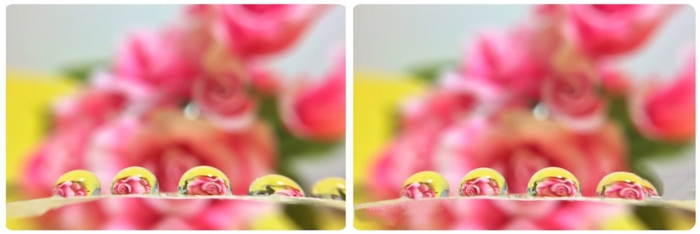 f:id:alkanetwhite:20151215220939j:plain f:id:alkanetwhite:20151215220939j:plain