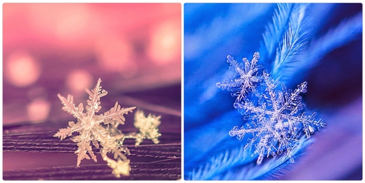 雪の撮影 Iphoneカメラで雪や雪風景をキレイに撮るには 美味しいおうちごはんと気ままなブログ 雪の撮影 Iphoneカメラで雪や雪風景をキレイに撮るには 美味しいおうちごはんと気ままなブログ