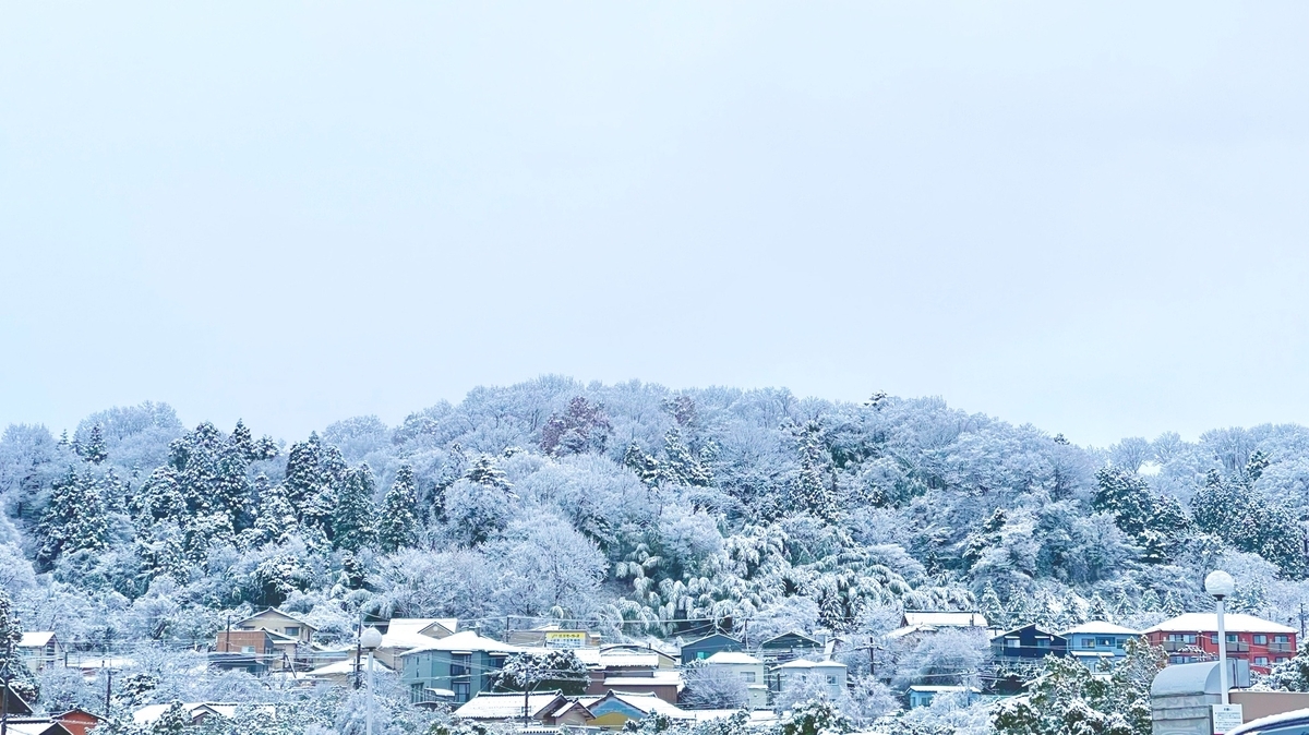 雪の花が咲いたような雪景色