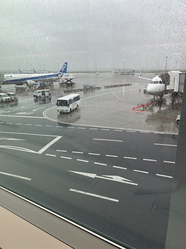 f:id:alkasumi05110521:20260910124618j:image f:id:alkasumi05110521:20260910124618j:image