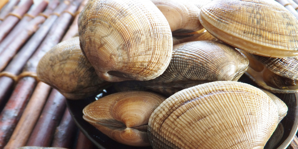 f:id:alkjpn:20160706155756j:plain